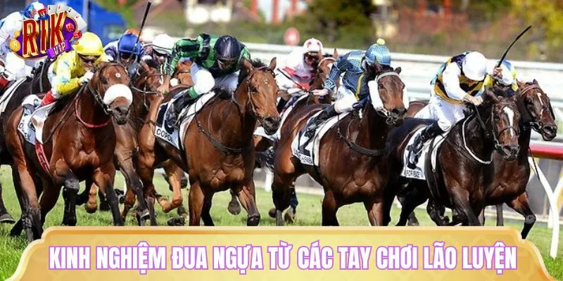 Cách tối ưu hóa lợi nhuận từ cá cược đua ngựa