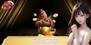 Đá Gà Campuchia – Xem Đã Mắt, Cược Đã Tay, Chốt Tiền Liền