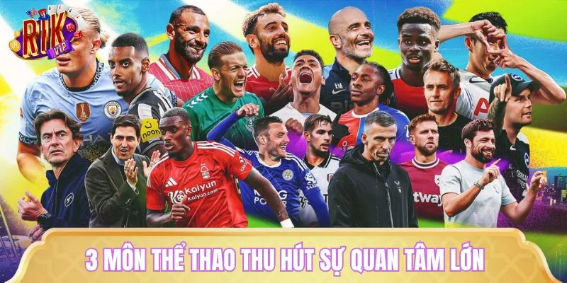 3 môn thể thao thu hút sự quan tâm lớn từ cộng đồng